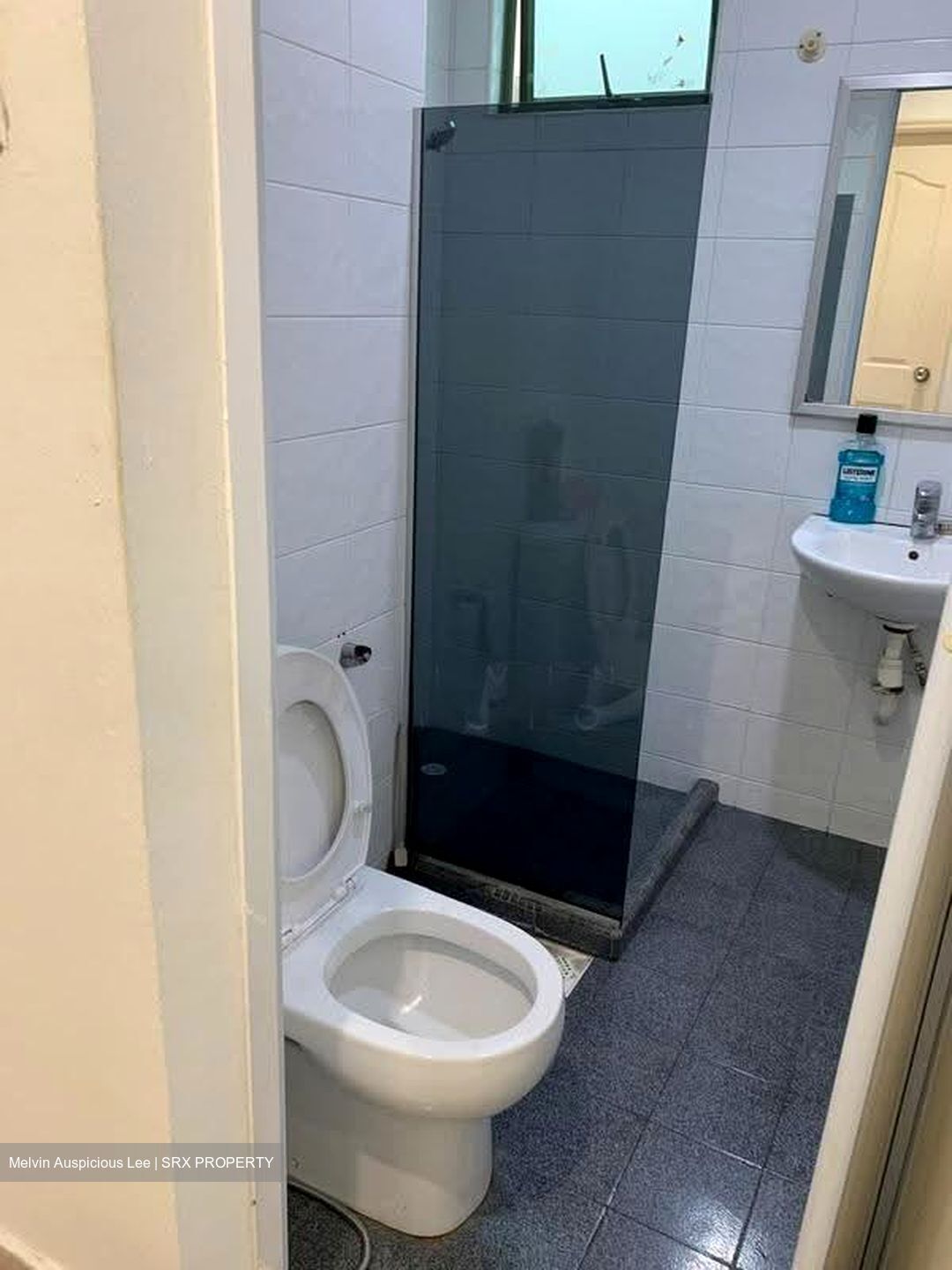 Ever Lodge (D14), Apartment #612948701